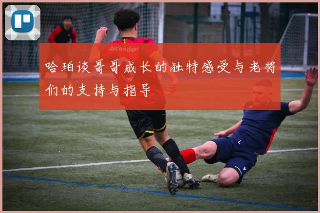 哈珀谈哥哥成长的独特感受与老将们的支持与指导
