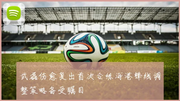 武磊伤愈复出首次合练海港锋线调整策略备受瞩目