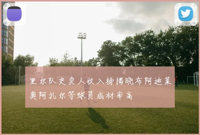 里尔队史卖人收入榜揭晓布阿迪莱奥阿扎尔等球员成材率高