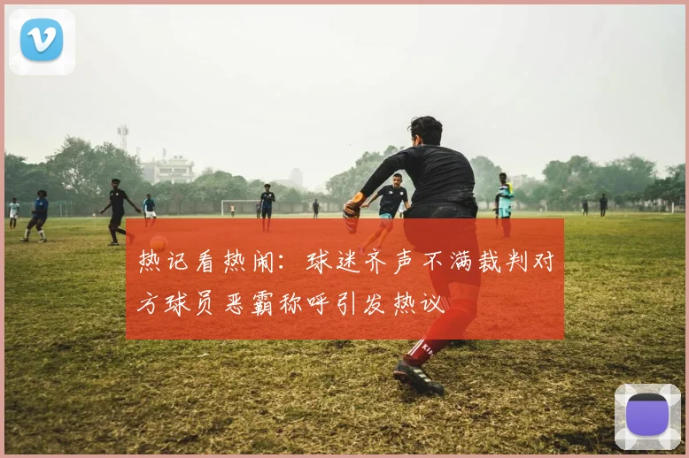 热记看热闹：球迷齐声不满裁判对方球员恶霸称呼引发热议